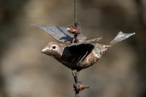 Kamala Karoo Sanctuary