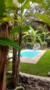 Casa Raízes Imbassai