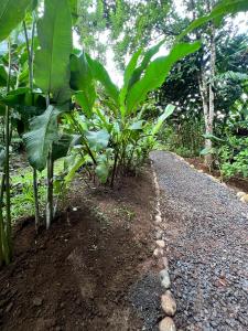 Arenal Rústic Lodge