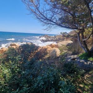 Attico vista mare Caletta sul mare img18