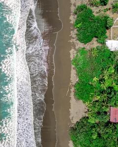 Ecolodge Azul Paradise