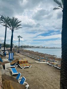 Apartment by Beach Diana 2