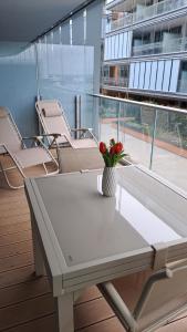 Waterfront Experience