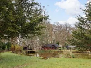 Woodpeckers - 桑福德佩弗莱