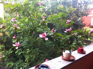 Navigli Downtown Cocco House