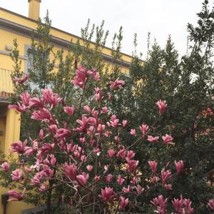 Navigli Downtown Cocco House