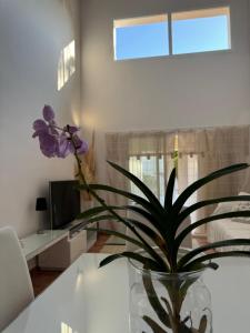 Villa pareada con piscina privada