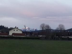 Gästehaus Reisacher - Ferienwohnung mit Frühstück