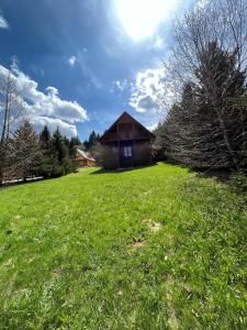 Domek Jaszczurka w Zawozie