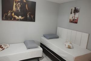 Lindo apart. recreio dos bandeirantes no Rio de janeiro