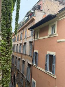 Navona Fox House 1