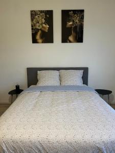 Le Clemenceau - Vue coup de cœur