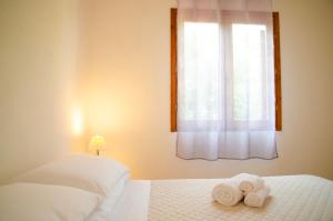 Centro San Teodoro img6