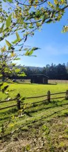 Cabaña Nahuelbuta Adventure - Contulmo