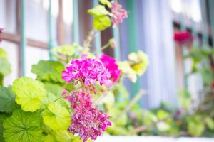 Solar Aguilar - Casarão