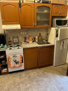 Downtown apartment with garden for 3 people
