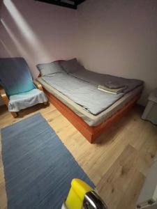 Downtown apartment with garden