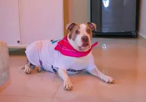 Habitacion Triple Caribe - Punta Seca