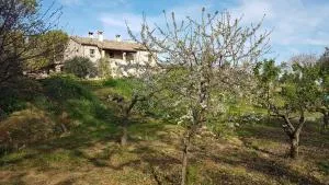 Domus Taberna GIO GIO - Montefiore Conca