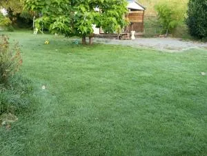 Cabanon grenouille #Park le Pal - Beaulon