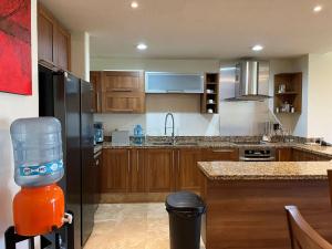 Lovely apartment in Cruz de Huanacaxtle