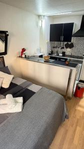 Appartements Comfortable Studio a proximite de porte Versaille , Paris : photos des chambres