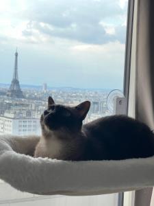 Chambre Privée Dans Appartement Vue Imprenable sur la Tour Eiffel