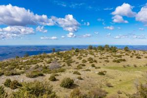 Štalica Little Barn