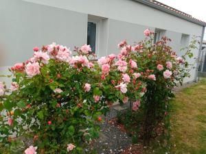 Appartements perle rare a energie positive : photos des chambres