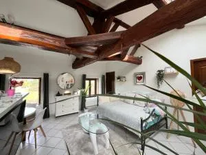 Appartement studio Le Corrandin - Thurins