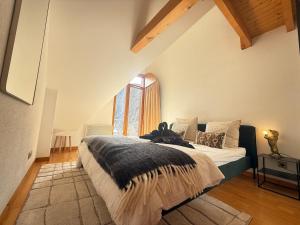 Chalets Chalet 6 Pers-Prox Cols-Vue Vallee-Jardin-BBQ : photos des chambres