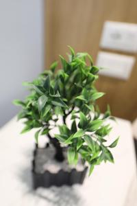 Veranda Boutique Hotel 1