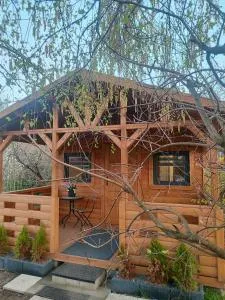 Domek pod Brzozami - Lubiszewo