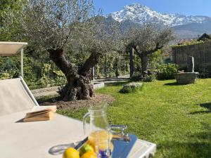 Casa Unica- da Bruno