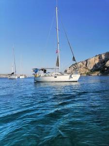 2-cottage yacht with 2 showers