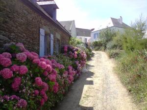 Maisons de vacances La Breizh'ilienne : photos des chambres