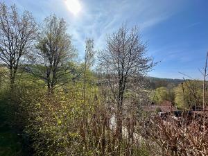 Natur Pur - Waldurlaub im Tiny House