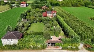 Gold Farm Ferma Gold - Vorë