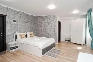 Grey Boutique Hotel Palas - Ungheni Targ