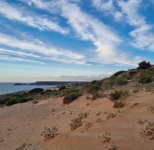 Oasi del Relax - Seaside Peaceful Panoramic Terrace in ITALY - new Sardinia apartment 50 mt beach&sea full comfort air conditioning-WiFi-Parking-Privacy