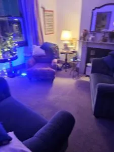 The blue inn - 伍德福德