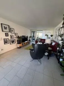 Modern and stylish Home in Muttenz - 明兴施泰因