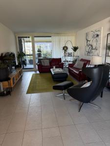 Modern and stylish Home in Muttenz