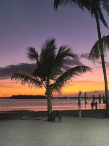 Escape en terrazas del caribe con psicina y playa