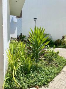 ANM Buxton Point Apartment