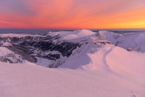 Appartements Appartement T2 - RDC a 300M des thermes - La villa blanche : photos des chambres