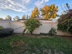 Departamento Beltran