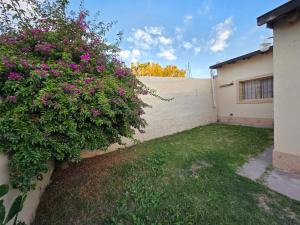 Departamento Beltran