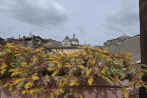 Ronciglione Home di F & E