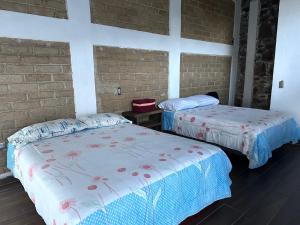 Cabaña de Vidrio en el Bosque